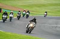 Lower Group Silver_Grey Bikes
